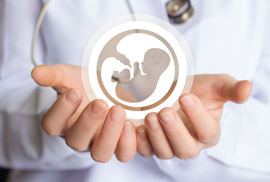 Genetic Testing of Embryos